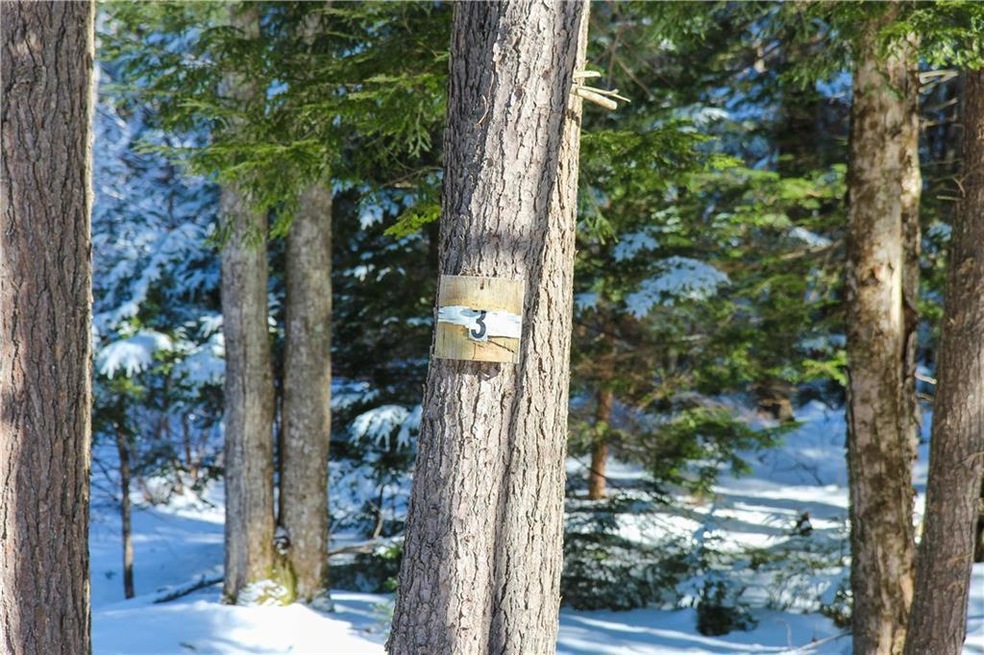 46 Chickadee Ln, Durham, ME 04222 - photo 1