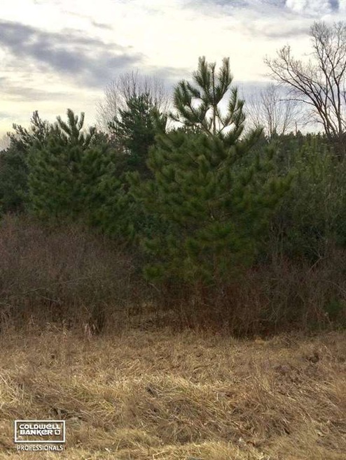 This is a view of the property.