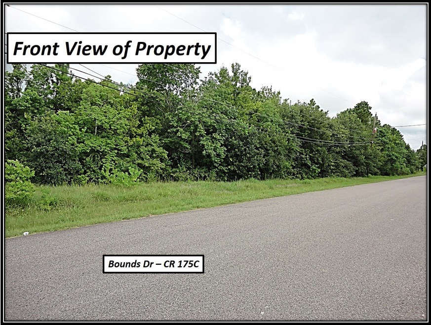 0 Bounds Dr Cr 176c 175c unit 9117594, Alvin, TX 77584 - photo 1