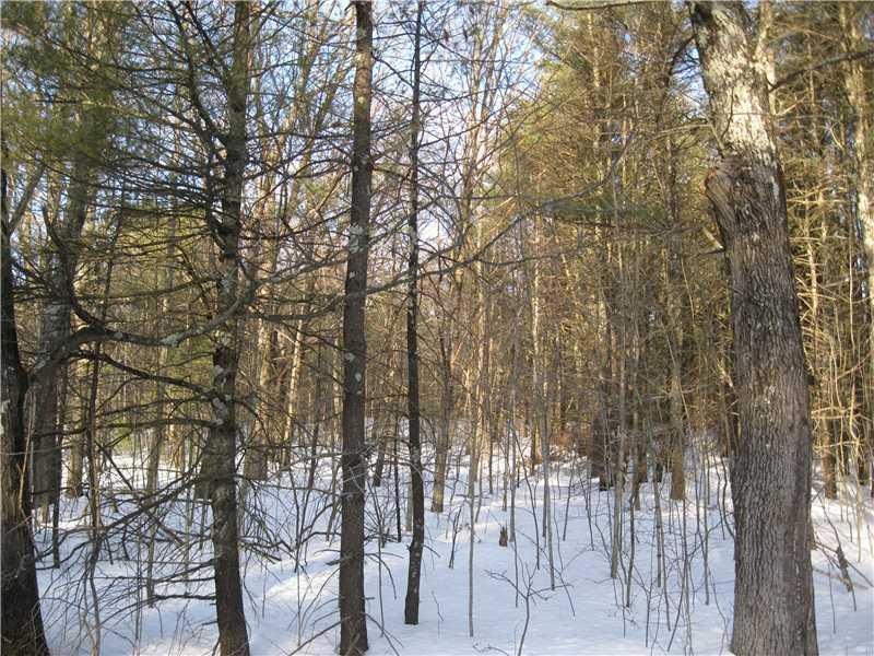 Land. elevated lot set back 700 feet...