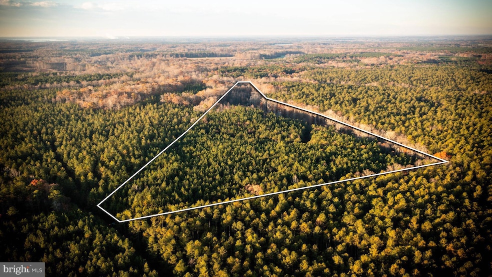 TBD Iris Rd, Mascot, VA 23108 - photo 1