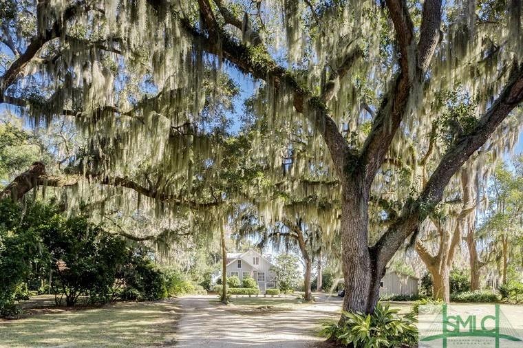 Moss draped Southern live Oaks line the drive.