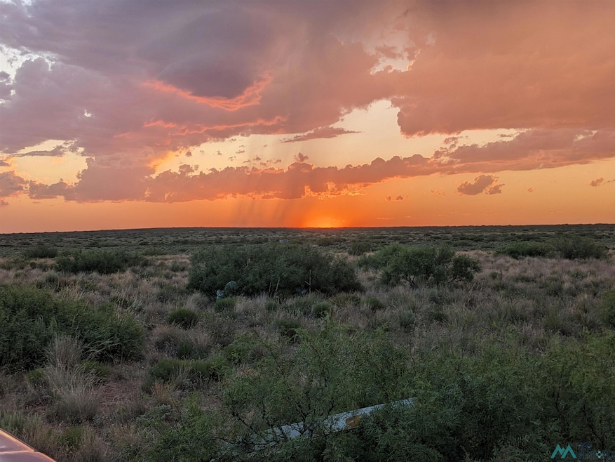 0 Llauds Rd, Roswell, NM 88201 - photo 1