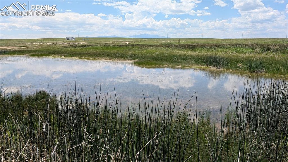 Seasonal ponds spread across the Northeast 1/3 of the property.
