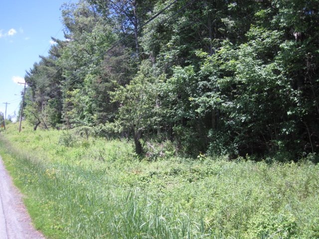 4 Vermont Ave unit 4, Hardwick, VT 05843 - photo 1