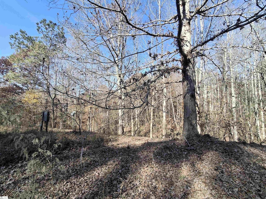 205 Spake Rd, Pendleton, SC 29670 - photo 1