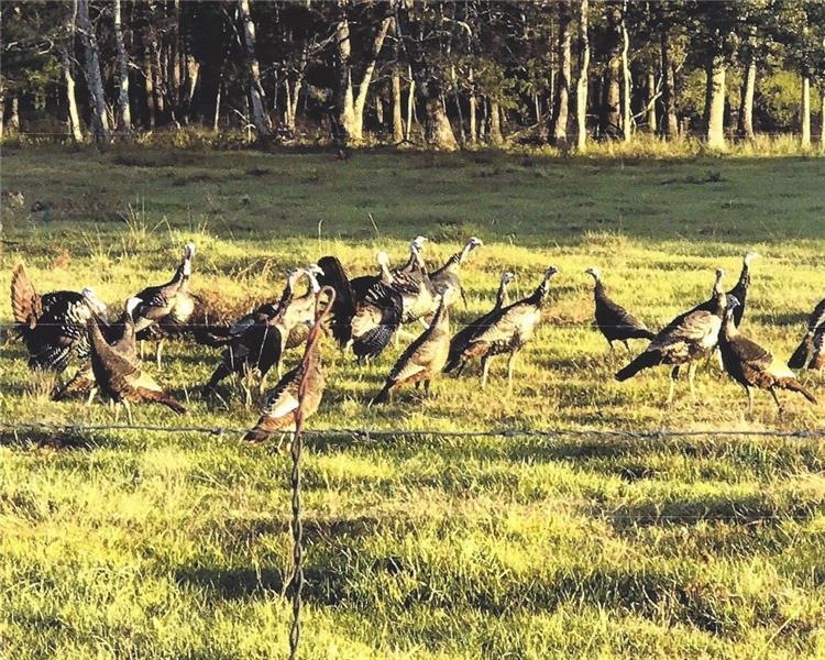 28301 New Hope Church Rd unit C, Robertsdale, AL 36567 - photo 1