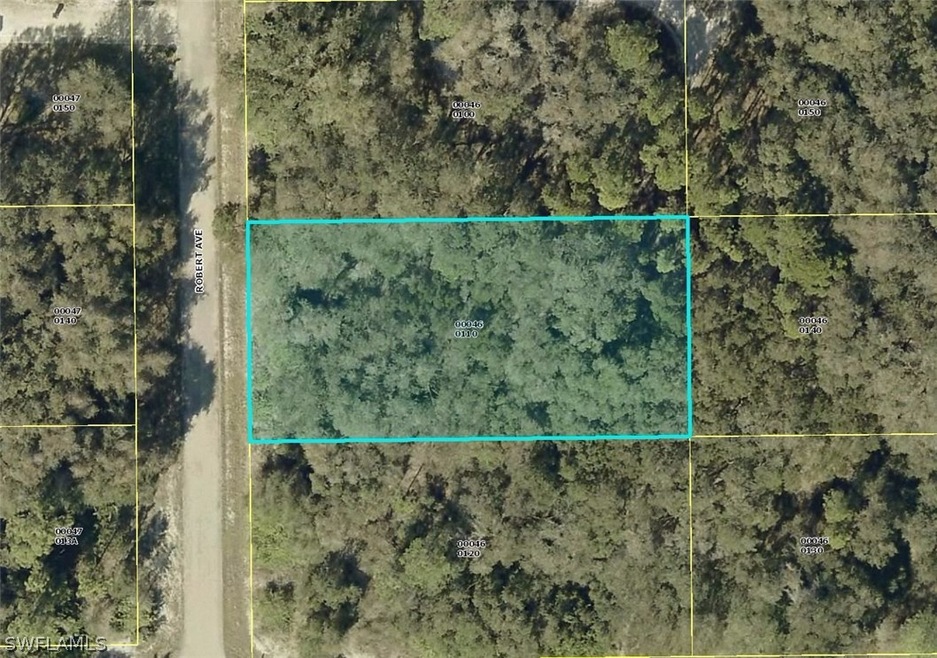 1902 Robert Ave, Lehigh Acres, FL 33972 - photo 1