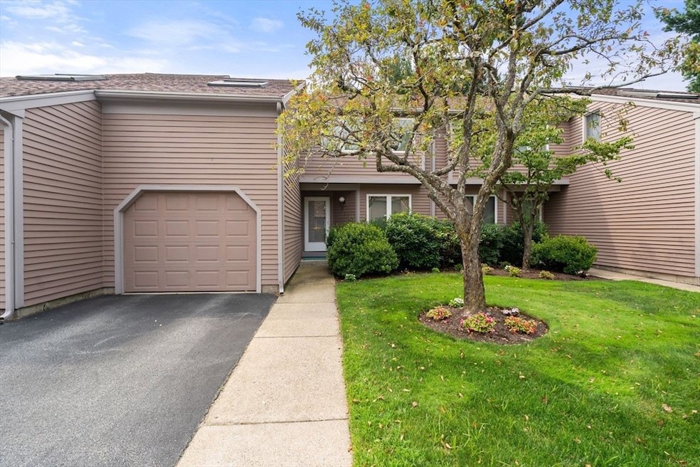 Pending $1,199,000 • Co-Listing Agent