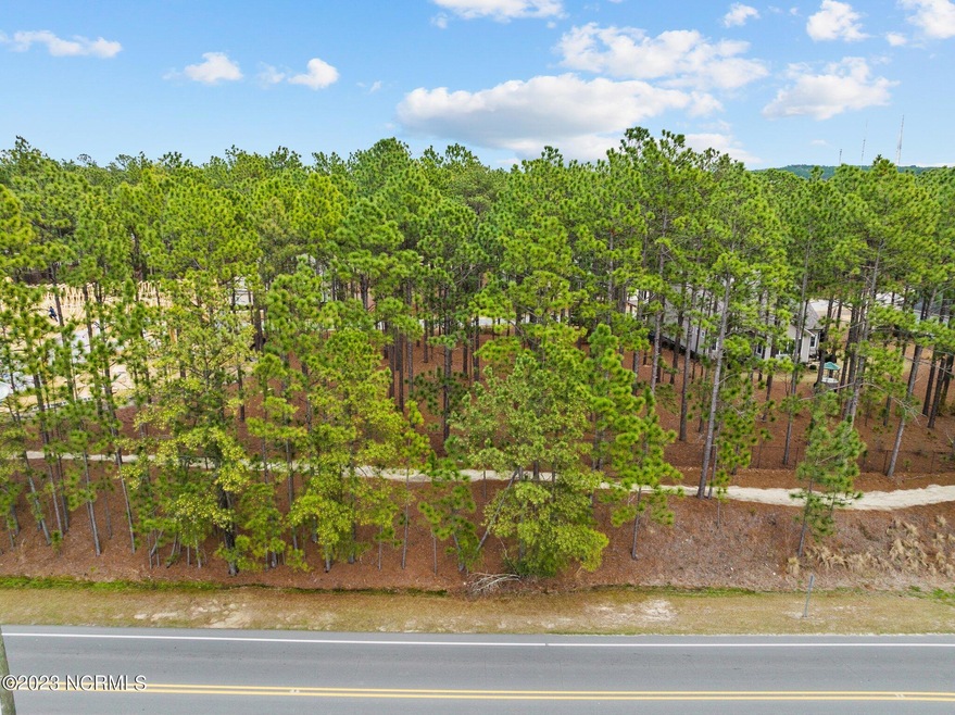 1-web-or-mls-DJI_0331