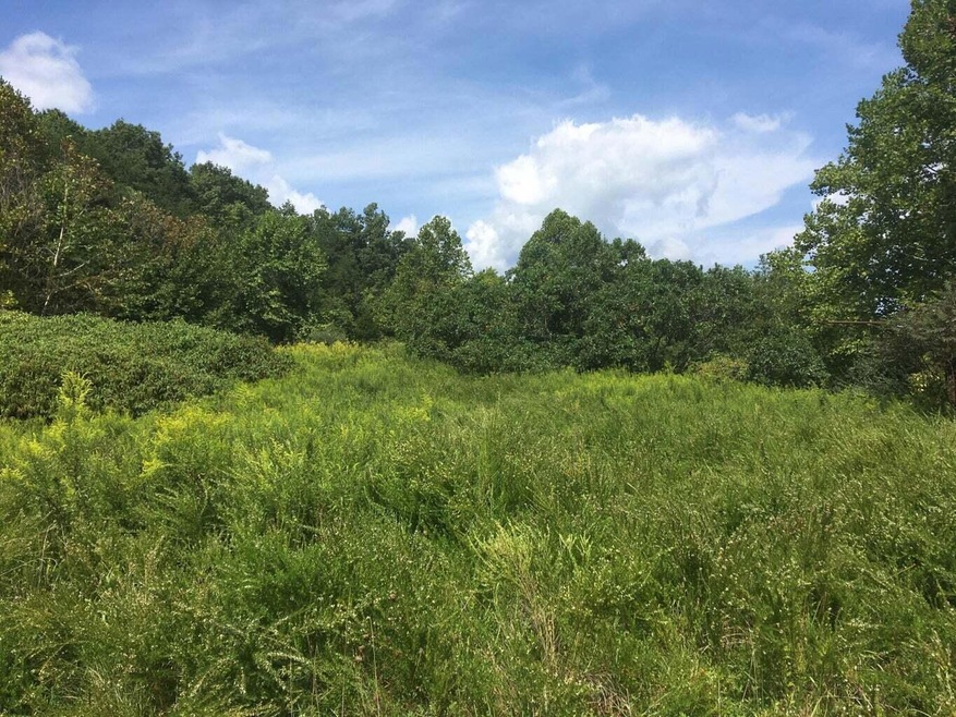 3475 HWY 1350 Manchester KY