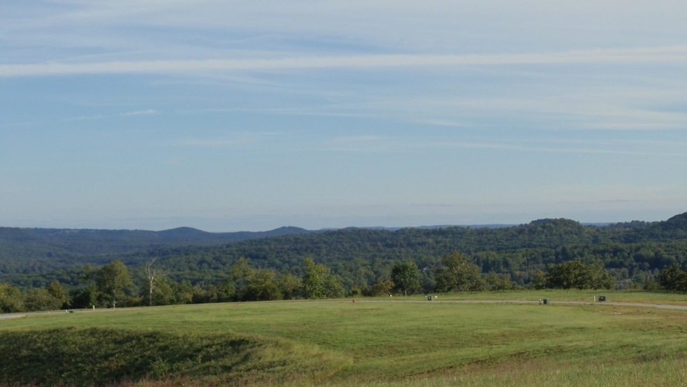 Georgetti Forest View Lot 523 (1)