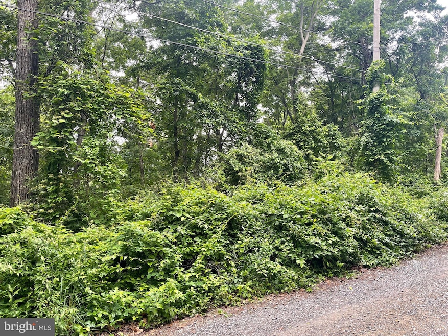 Sect A 16-23 Dogwod Trail, Harpers Ferry, WV 25425 - photo 1