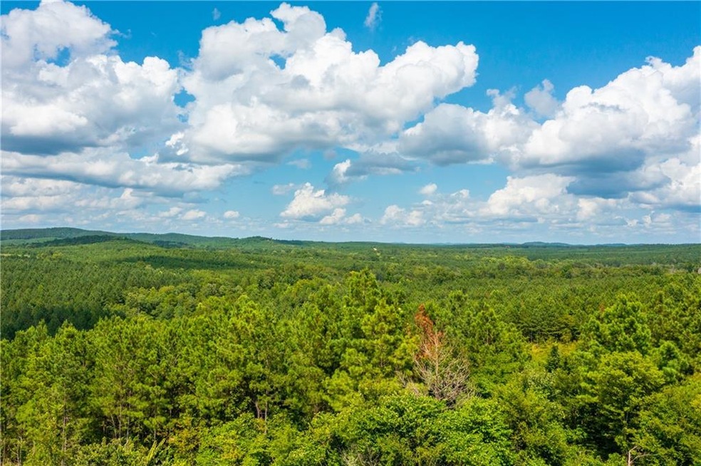 0 Lot 39 Limp Limb Ct unit 968678, Broken Bow, OK 74728 - photo 1