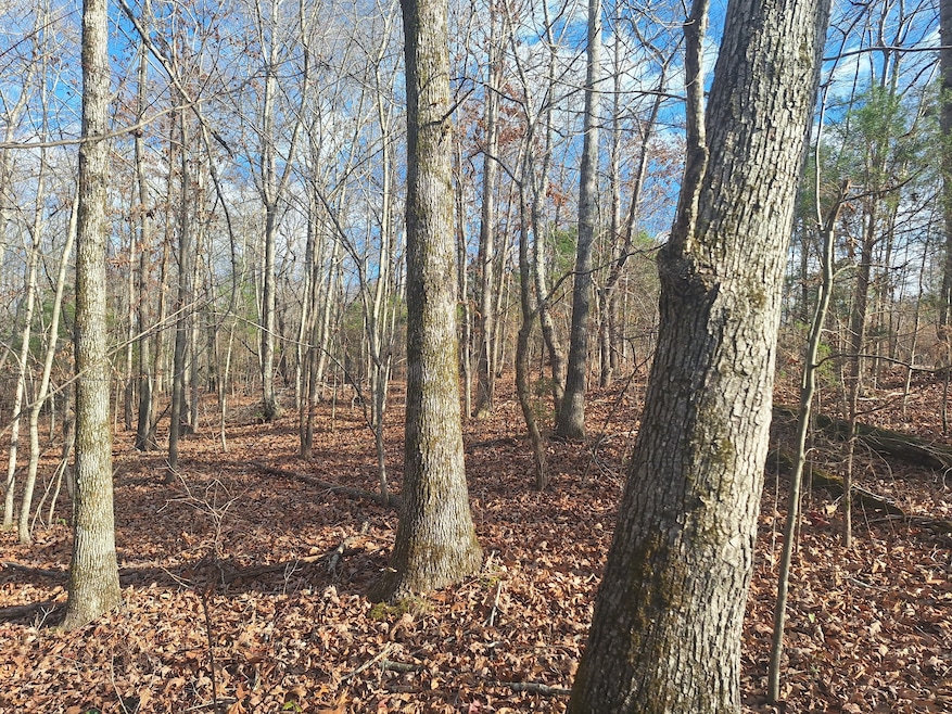 0 Circle g Dr, Lawrenceburg, TN 38464 - photo 1