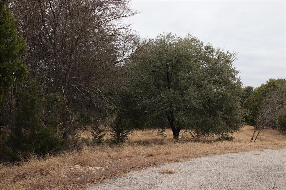 16059 Faircrest Dr, Whitney, TX 76692 - photo 1