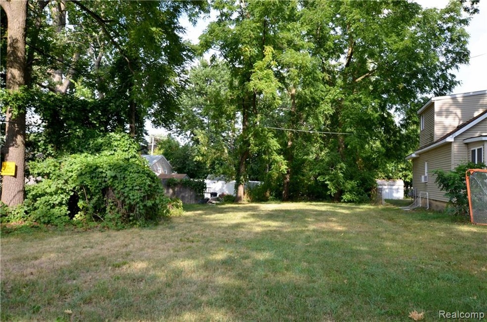 Cass lake front lot2.jpg