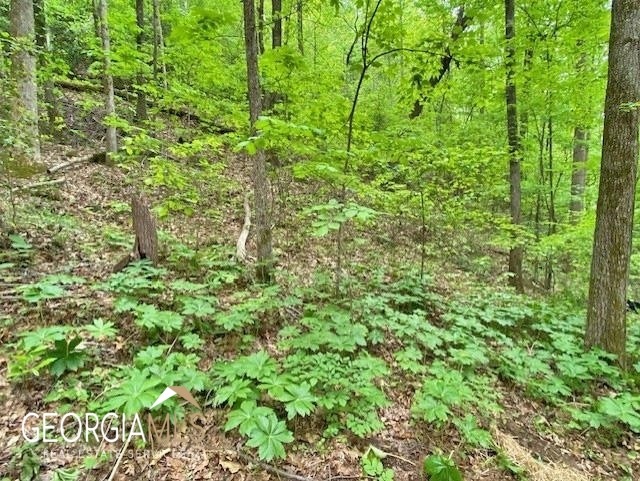 0 Old River Rd unit 20122472, Dahlonega, GA 30533 - photo 1