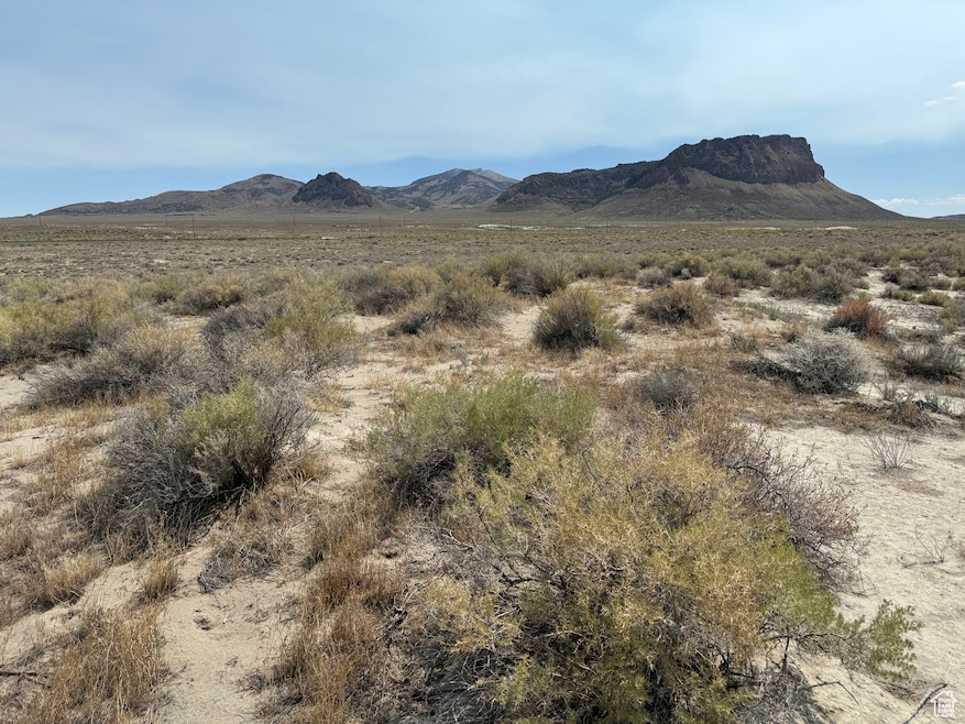 82020 S 8000 W, Grouse Creek, UT 84313 - photo 1