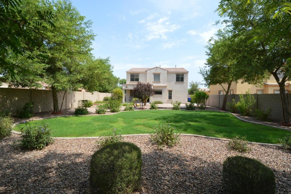 Yard - Green patch 1
