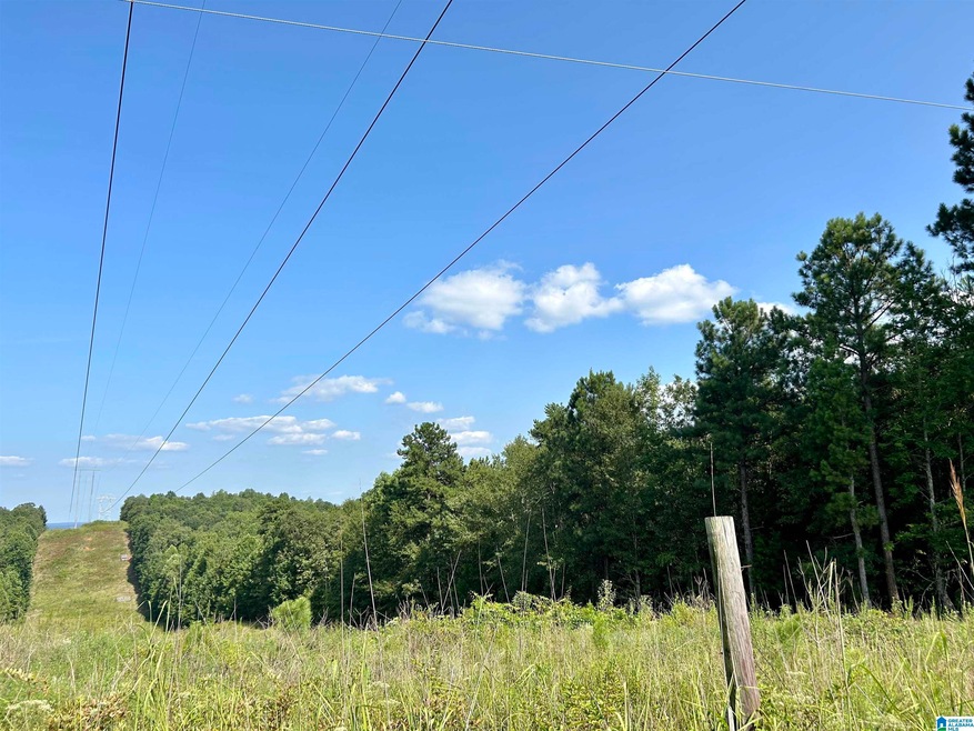 0 County Road 329 unit 9 21364080, Wedowee, AL 36278 - photo 1