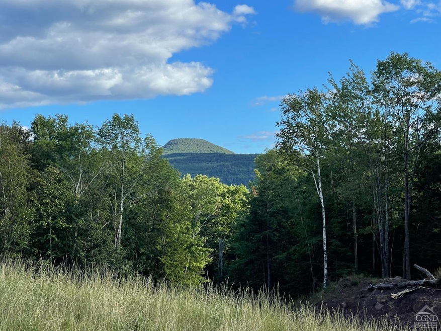 0 Route 25 Rd unit 146034, Tannersville, NY 12442 - photo 1