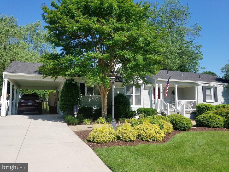 unlisted-address, Alexandria, VA 22308 - photo 1