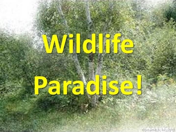 0 James Rd unit 170057975, Ashford, CT 06278 - photo 1