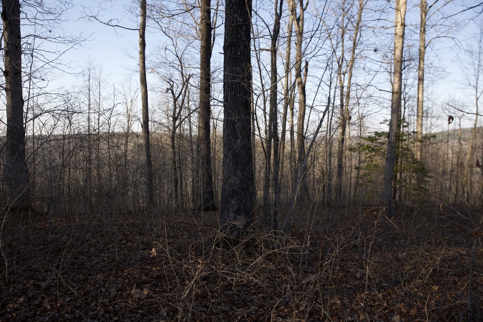 Sold $110,000 • Co-Listing Agent