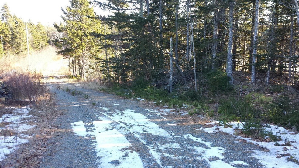 fntg along Old Rte 1