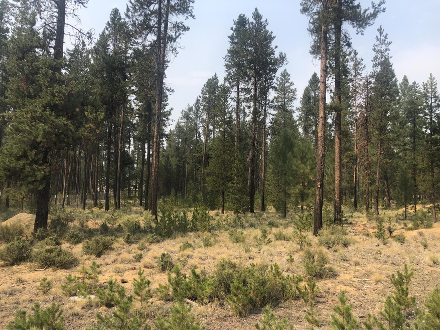 17006 Upland Rd, Bend, OR 97707 - photo 1