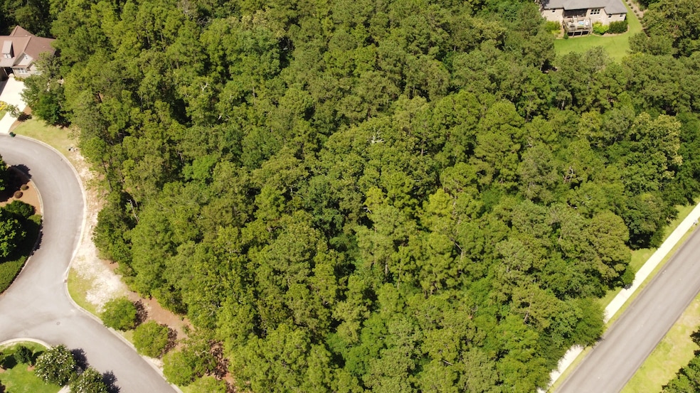 102 White Birch Ct, Aiken, SC 29803 - photo 1