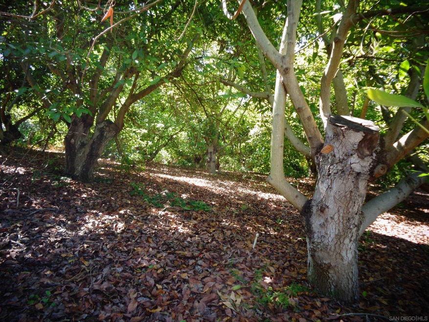 32829 Lilac unit 32829, Valley Center, CA 92082 - photo 1