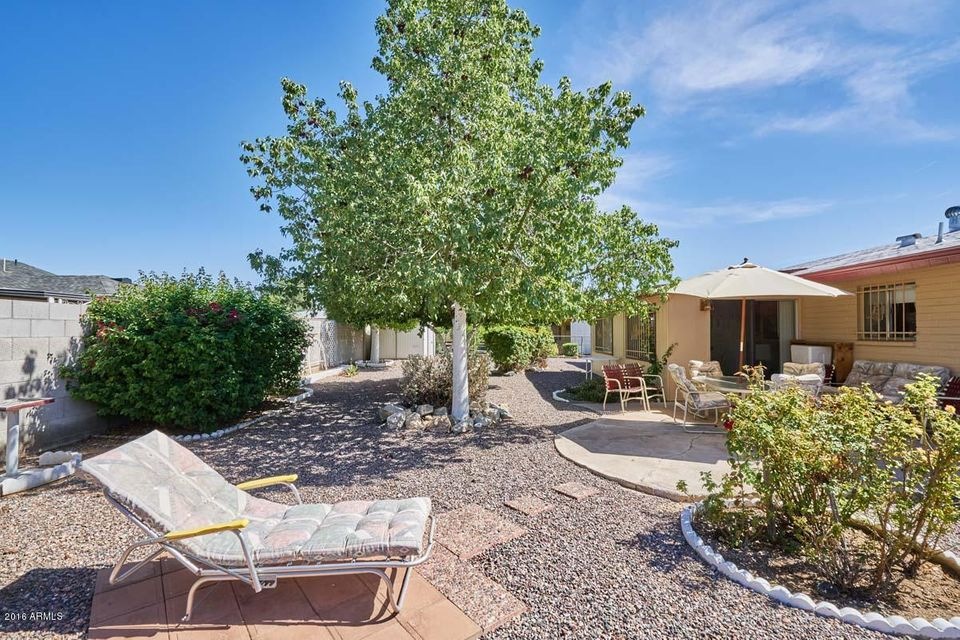Backyard2