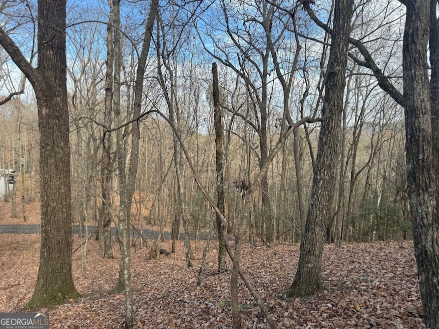 0 Geneva Place unit 10648180, Sautee Nacoochee, GA 30571 - photo 1