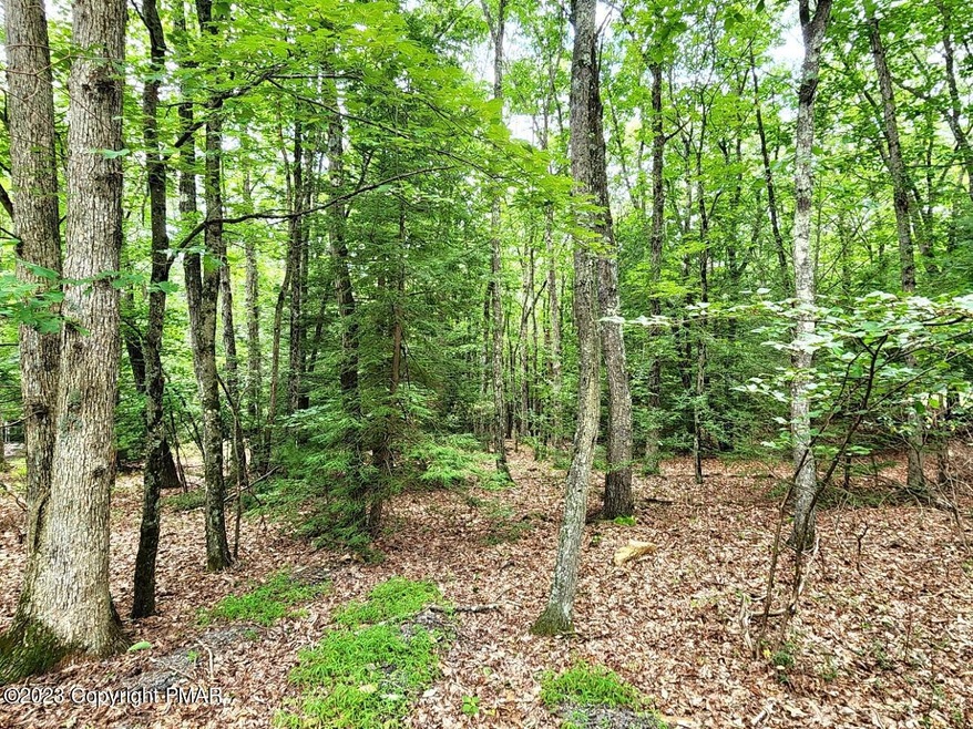 620 Fawn Cir, Jim Thorpe, PA 18229 - photo 1