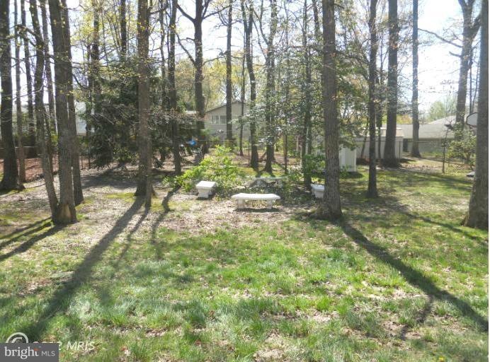 5041 Portsmouth Rd, Fairfax, VA 22032 - photo 1