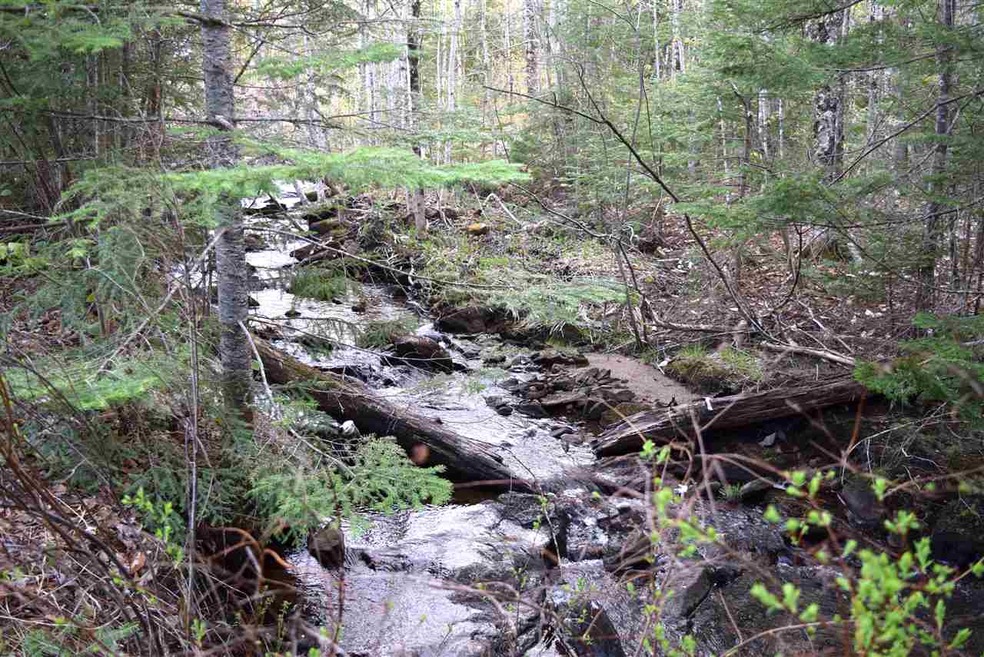 746 Durand Rd, Randolph, NH 03593 - photo 1