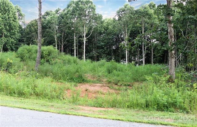 256 Donsdale Dr unit 48, Statesville, NC 28625 - photo 1