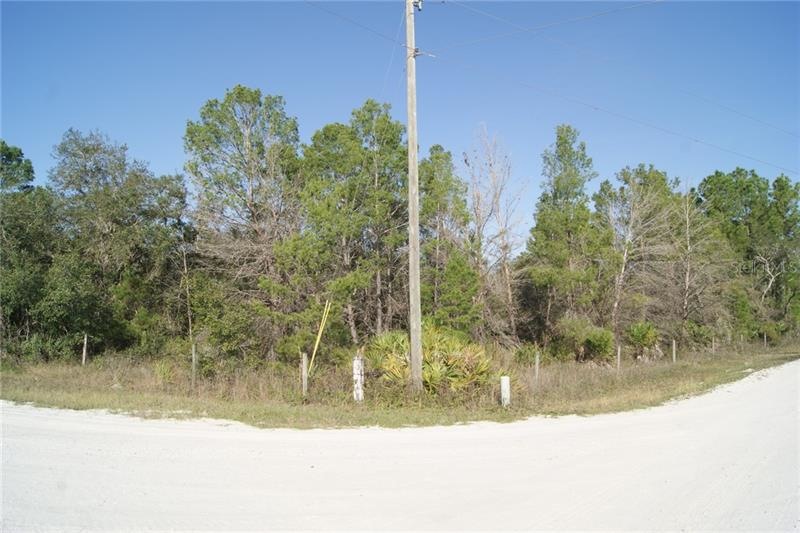 CORNER PARCEL FRONTS ON R E BYRD RD & TURKEY OAK T