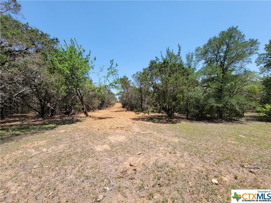 14609 Buckhorn Cemetery Rd, Moody, TX 76557 - photo 1
