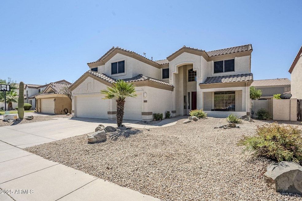 3-web-or-mls-Longhorn-3