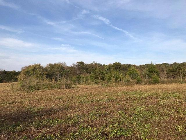 3.95 ac Cindy Dr, Cookeville, TN 38506 - photo 1