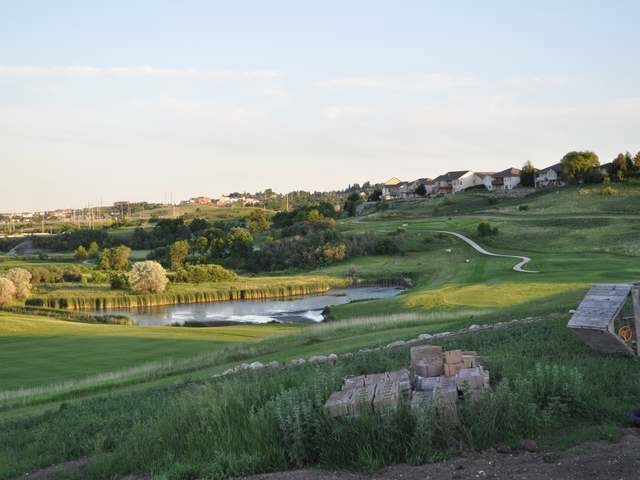 Primary Photo