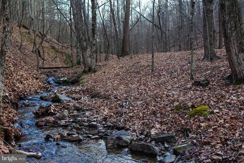 15 Ridges at Branch S, Romney, WV 26757 - photo 1