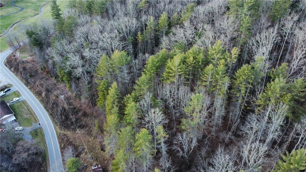 TBD Scronce Creek Rd, Burnsville, NC 28714 - photo 1