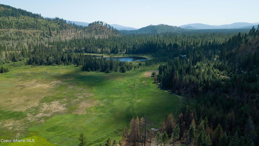 81.19 acres