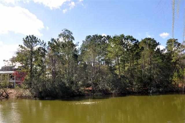 125 Calais Ave, Georgetown, SC 29440 - photo 1