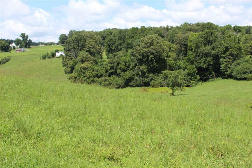 Parcel 40 Odom Rd, Rutledge, TN 37861 - photo 1