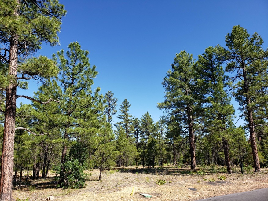 361 N Silverleaf